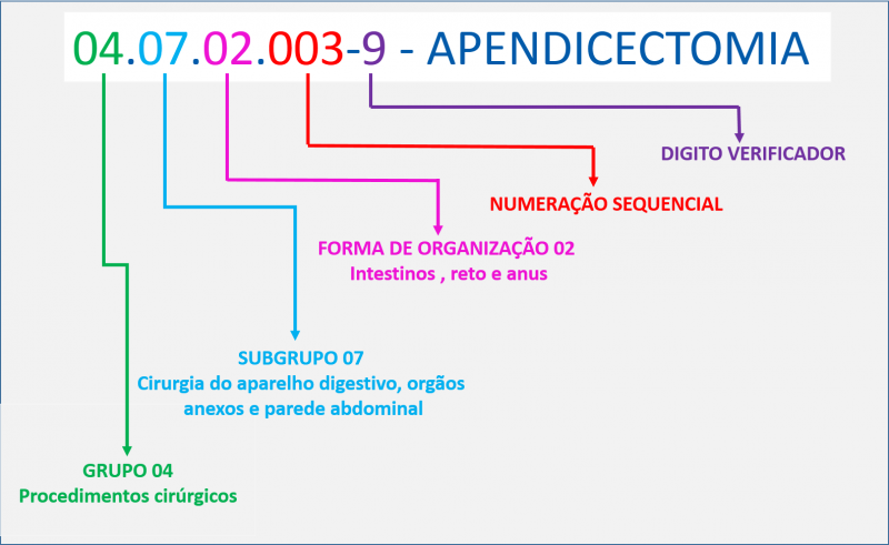 Arquivo:PROC CODIGO.png